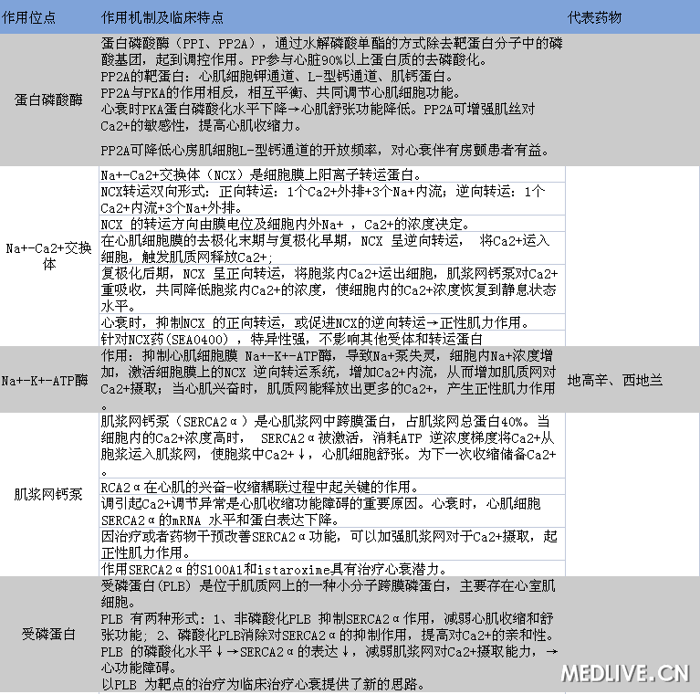 正性肌力药作用靶点