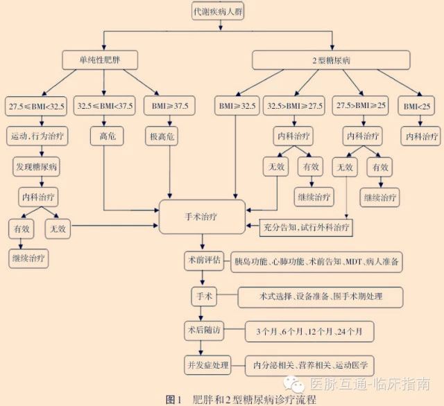 《中国肥胖和2型糖尿病外科治疗指南(2014)》发布!