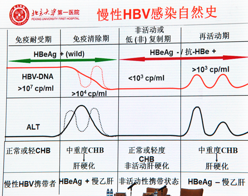 慢性HBV感染自然史.jpg
