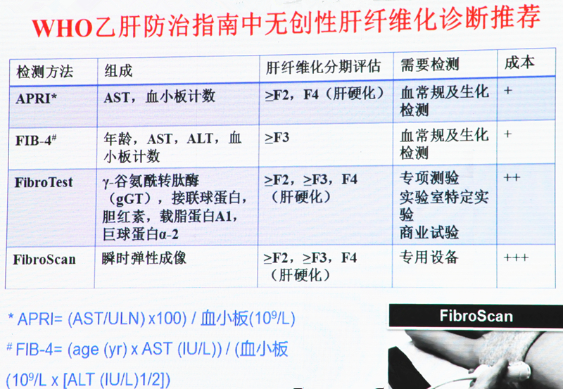 WHO乙肝防治指南中无创性肝纤维化诊断推荐.jpg