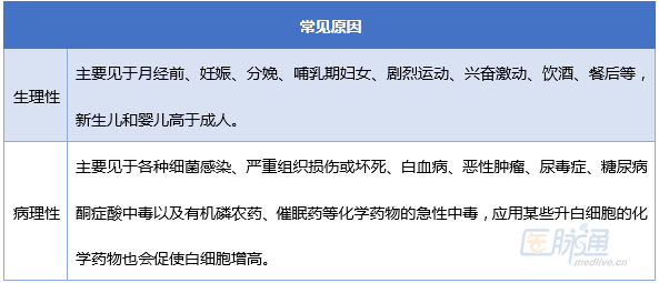 白细胞增多_副本.png