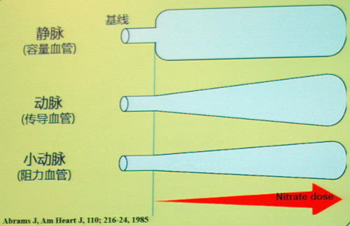 图2 硝酸酯类的剂量-血管效应