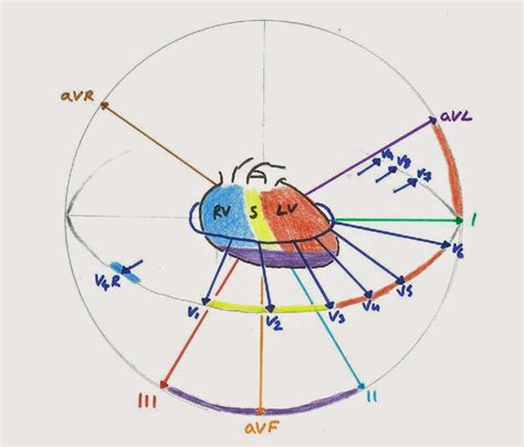 图2 心电图导联示意图.jpg
