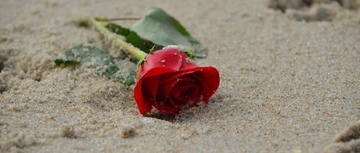 长文详解：现行抗精神病药分类方法的缺陷 | 专家视角