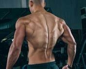 真是“肌肉越发达，头脑越简单”？多项研究：俯卧撑、撸铁等抗阻训练能有效延缓大脑衰老，特别是腿部力量的提升可降低脑龄