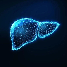 学术前沿｜FCIM：药物性肝损伤中的肠道微生物群-代谢物相互作用：机制、生物标志物和治疗前景
