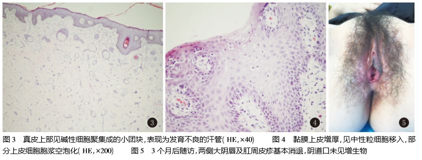 1563373010954783.jpg 1563373010954783.jpg