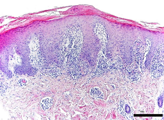 1565314057699875.png 微信图片_20190809092606.png