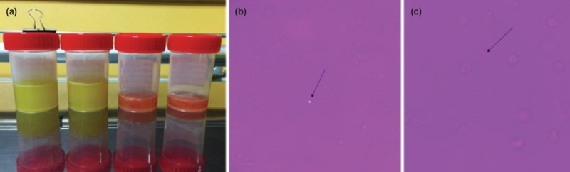 1574840201773735.jpg 1574840201773735.jpg