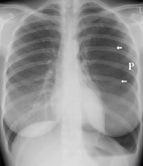 1575881877973054.png 1575881877973054.png