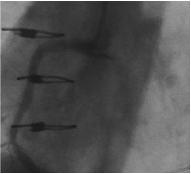 1578892053647518.png 8.PNG