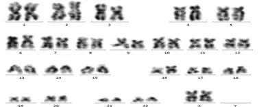 1586251855351411.jpg 4.jpg