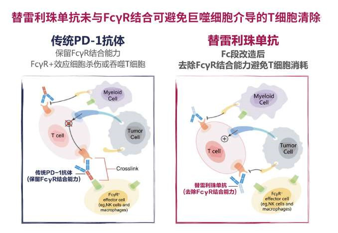 11微信图片_20200514090505_副本.jpg