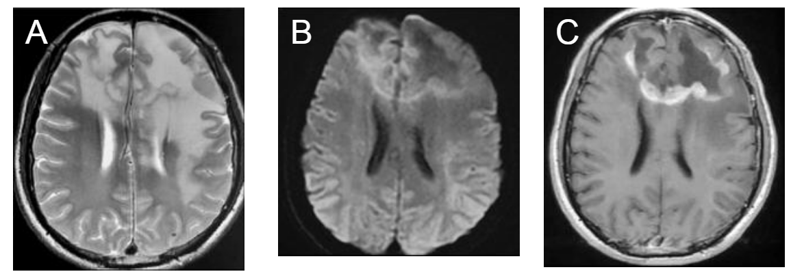 image001.png