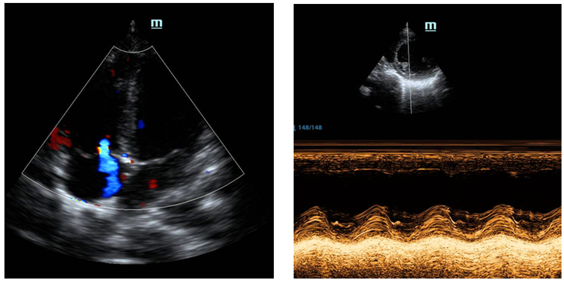 1595922849924245.png 1595922849924245.png