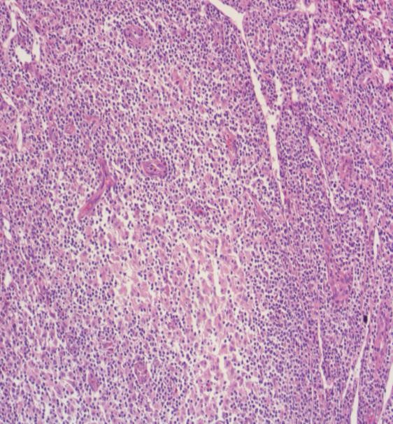 1596533090967059.jpg 3.jpg