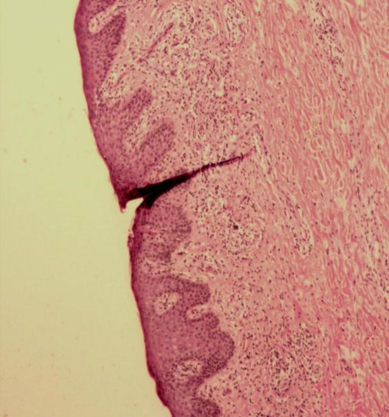 1596533116971685.jpg 4.jpg