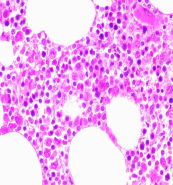 1596533157399905.jpg 5.jpg