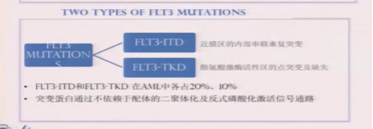 1603764370351659.png 3.png