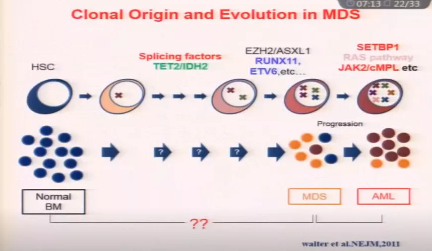 1604392145718584.png 6.png