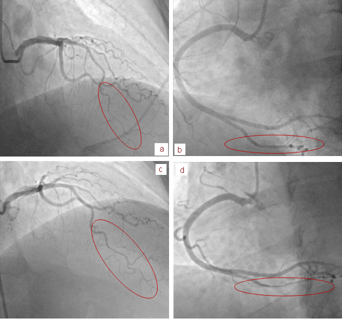 1612854510315142.png 1612854510315142.png