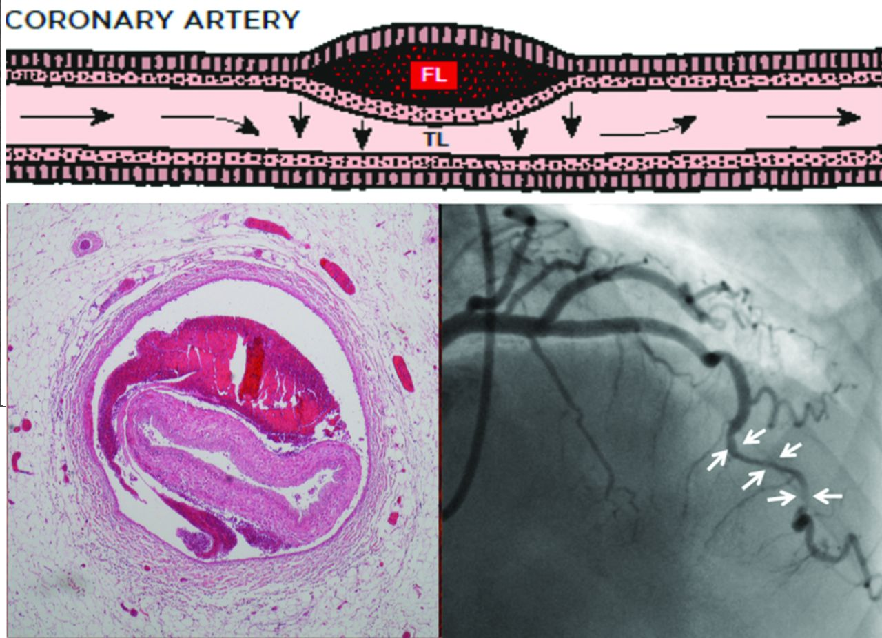 1612854559197847.png 1612854559197847.png