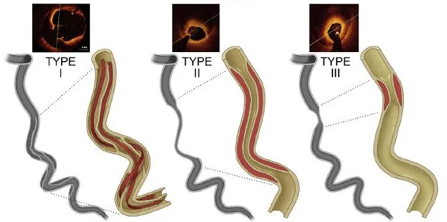 1612854580324630.png 1612854580324630.png