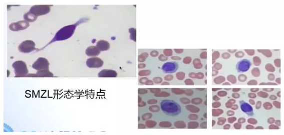 1617688801897489.png b.PNG