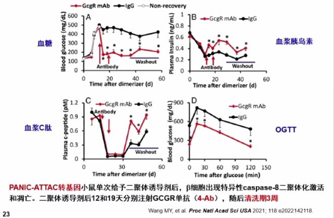 1621184263957422.jpg 1621184263957422.jpg