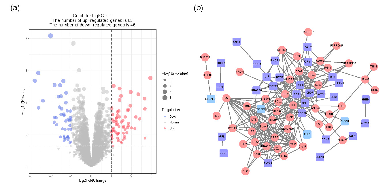 1621217184373821.jpg 2.jpg