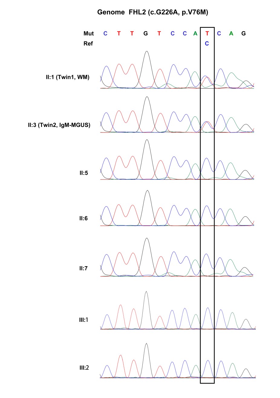 1621217232448776.jpg 3.jpg