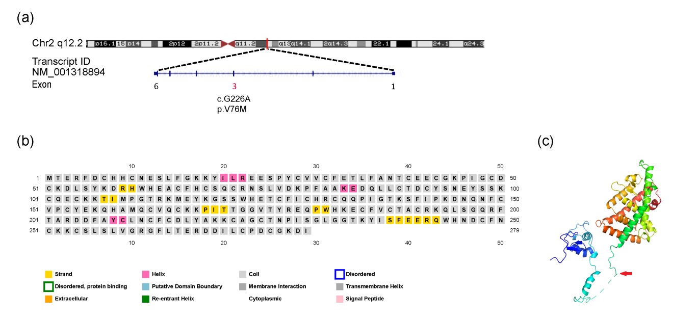 1621217262440273.jpg 4.jpg