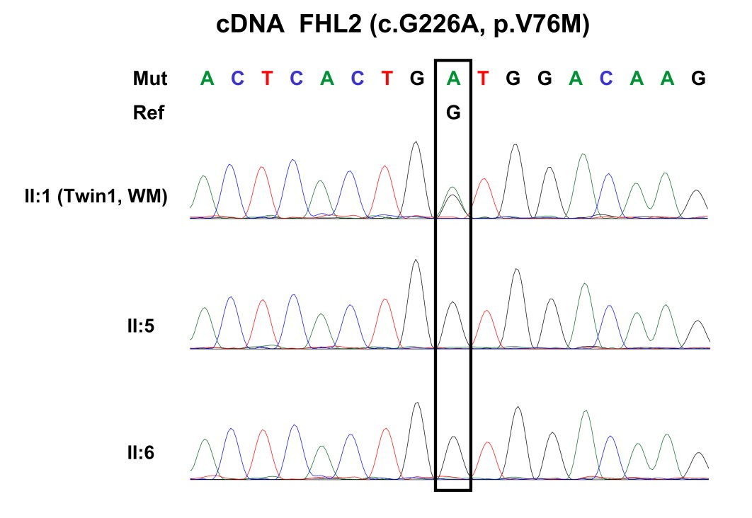 1621217328991196.jpg 6.jpg