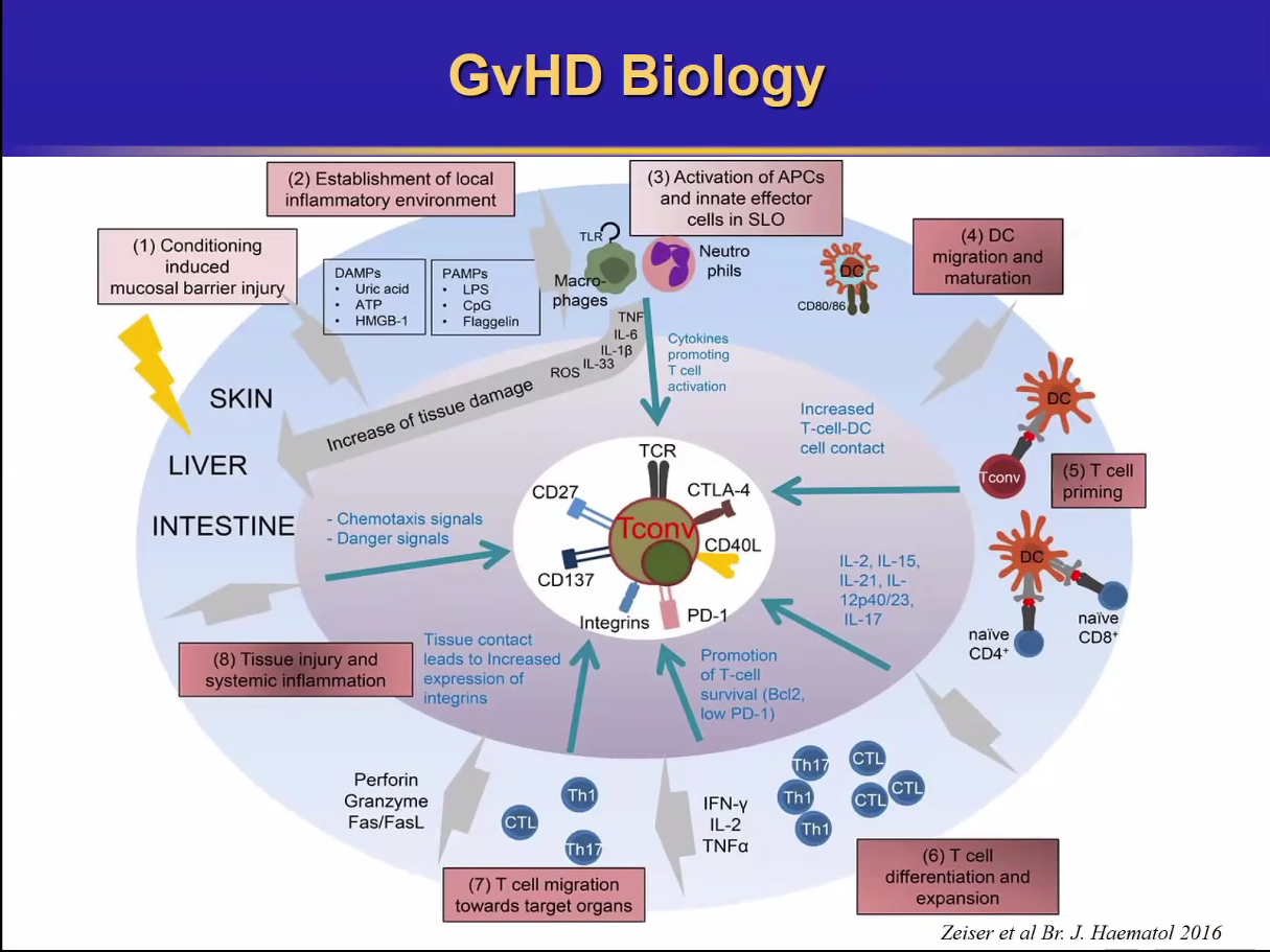 1625794457927465.png 3.png