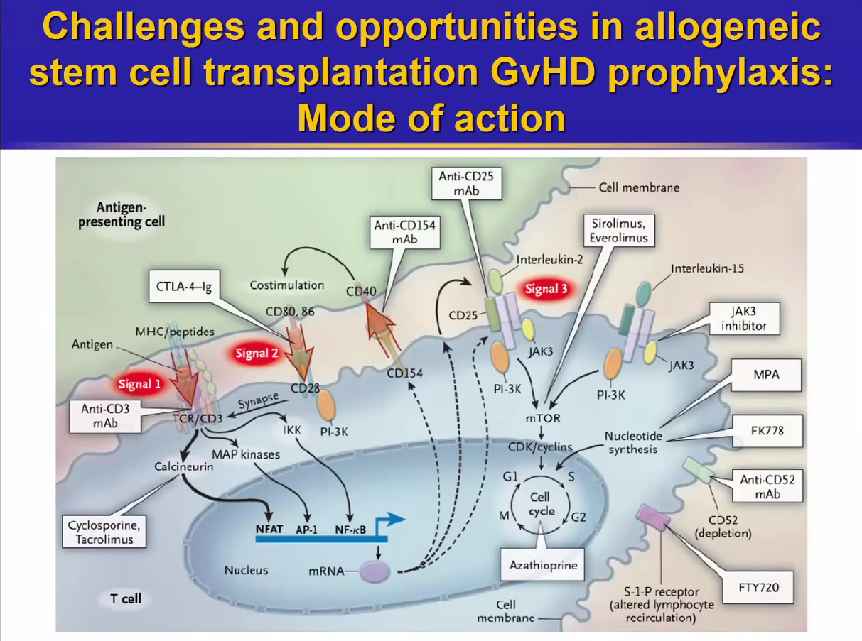 1625794500494625.png 6.png