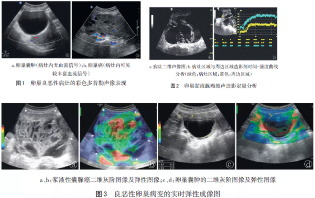 1628900690472123.png 66666666666666.PNG