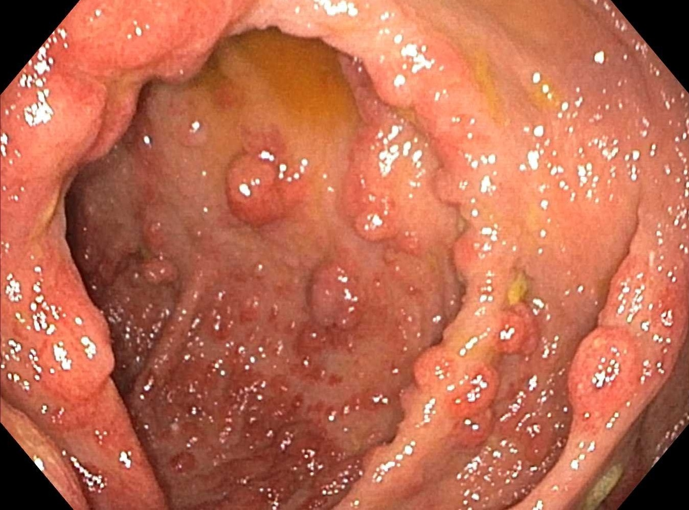 1631267955873394.png 图片2.png