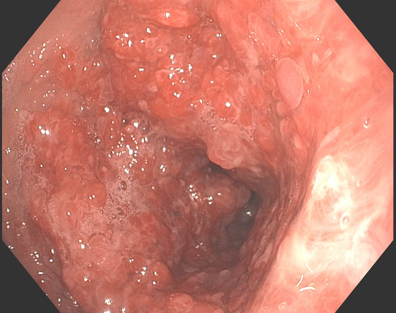 1631267988731250.png 图片4.png