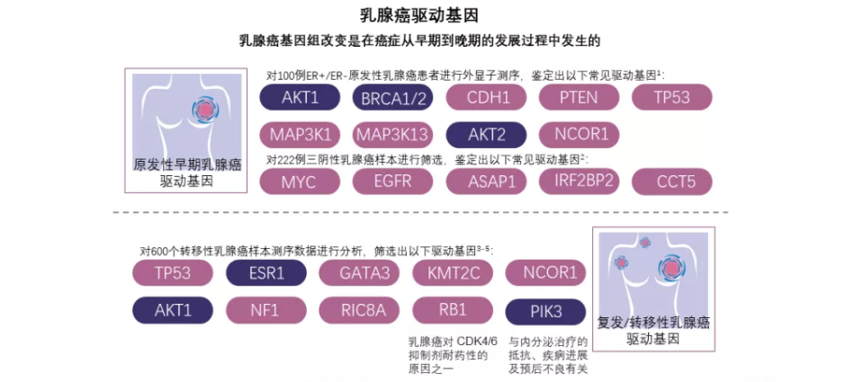 1636097856712048.png 2.png