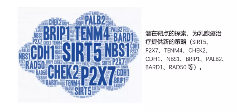 1636097882487120.png 3.png