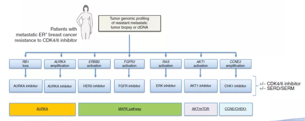 1636097927311673.png 4.png