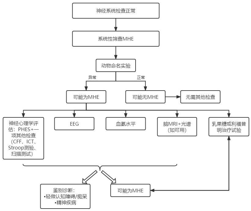 1644570852165041.jpg 未命名文件(16)-MHE诊断算法.jpg