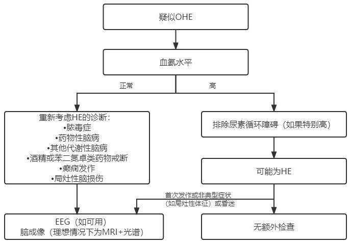 1644570859998811.jpg 未命名文件(16)-OHE诊断算法.jpg