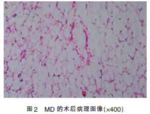 1646005360942867.png 2.png