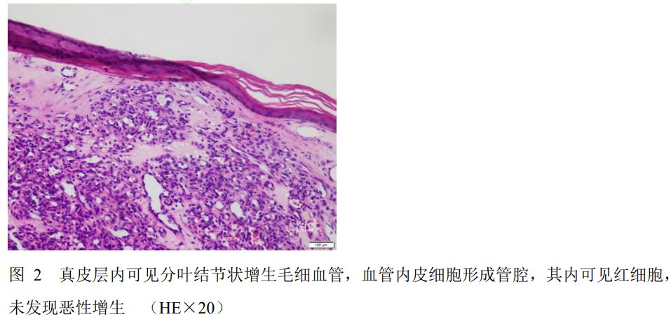 1647754593497036.jpg 1647754593497036.jpg