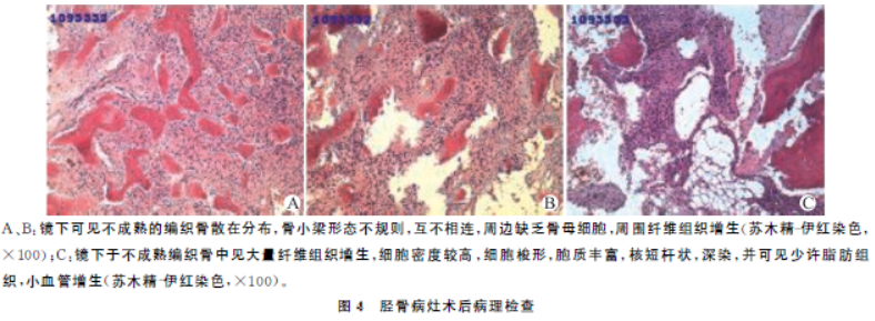 1647820716151708.png 1647820716151708.png