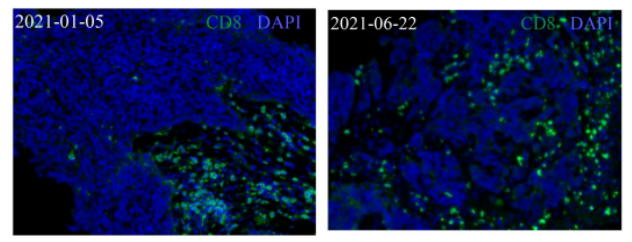 1650021574622803.png 222222.png