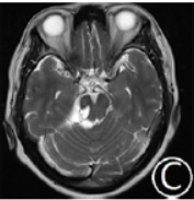 1651102052951885.png 1c.png