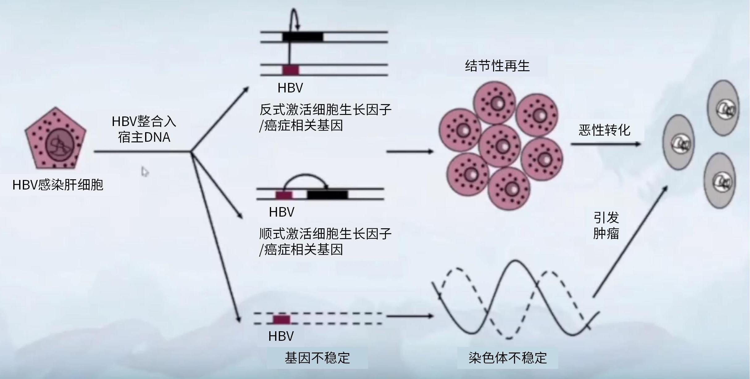 1653386647119971.jpg 陈煜-1.jpg
