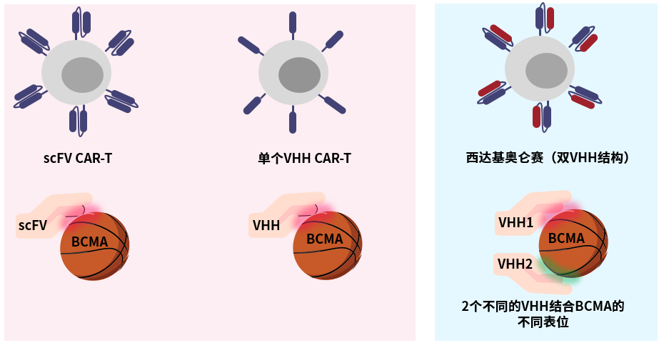 1654703340610576.png 2.2.png